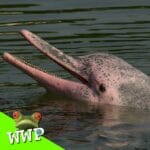 Ep #2 – Amazon on Fire-part 1 episode logo