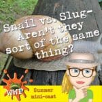 Snail vs. Slug-Aren't They Really Sort of the Same Thing? episode logo