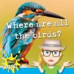 Where Are All the Birds? episode logo