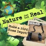 Ep #6 – Make a Bird Home Depot! episode logo