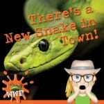 S2-EP 1 There's a New Snake in Town! episode logo