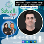 How Do Tiger Sharks Help the Ocean Ecosystem? episode logo