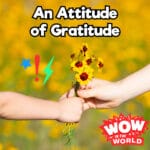 An Attitude of Gratitude (11/25/24) episode logo