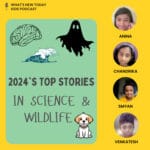Best of science and wildlife stories from 2024 episode logo