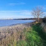 254 Waves of West Somerset (sleep safe) episode logo