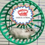 Exercise Extreme (1/6/25) episode logo
