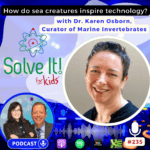 How Do Sea Creatures Inspire Technology? episode logo