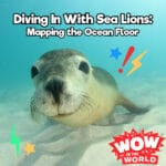Diving In With Sea Lions: Mapping the Ocean Floor (2/10/25) episode logo