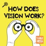 How Does Vision Work? episode logo