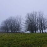 260 Early spring in the Derbyshire hills episode logo