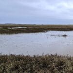 263 Wild open coastal reserve episode logo