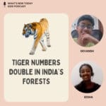 S3 E1: Tigers double in the last decade in India – what other countries can learn from India episode logo