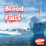 Blood Falls (5/26/25) episode logo