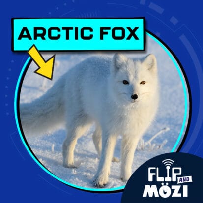 Podcast Logo