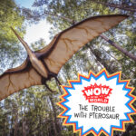 The Trouble with Pterosaurs: Discover How These Prehistoric Flyers Changed History episode logo