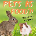 Kid News This Month: Pets as food, crazy-colored shark, end of tech batteries, searching for Amelia, Taylor gets hitched, little League World Series, tossing tomatoes in Spain episode logo