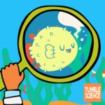 What Sounds Do Fish Make? episode logo