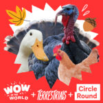 A Podcast Turducken: With Wow in the World, Terrestrials and Circle Round (11/17/25) episode logo