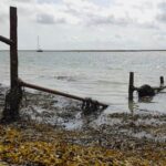 288 Tidal estuary at night (sleep safe) podcast episode