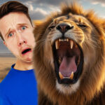 ROAR POWER: Why Lions Make Earth-Shaking Sounds 🦁🌍 episode logo