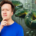 MIDWEEKLY: How Do Snakes Move? episode logo