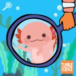 Can Axolotls Teach Us to Grow New Hands? episode logo