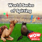 World Series of Spitting episode logo