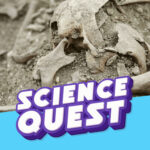 VAMPIRE MYSTERY: Archaeologists Examine a Strange Burial ‍♂️ podcast episode