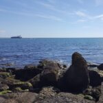 296 Looking out on Portland Harbour part 2 episode logo
