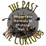 Animals Vol 3: Signalman Jack, Cacareco, and Pickles! podcast episode