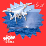 SnotBot! The Real Whale Snot Drone & How Scientists Study Whales episode logo