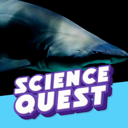 Podcast Logo