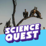 Why Don’t Vultures Get Food Poisoning? episode logo