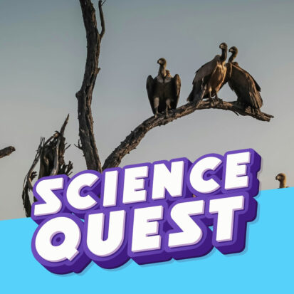 Podcast Logo