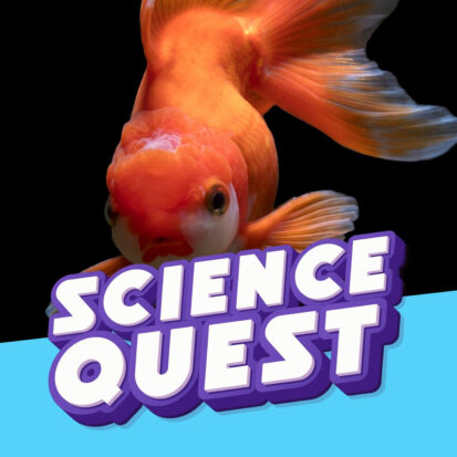 Podcast Logo
