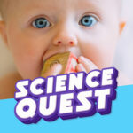 Are All Babies Born with Blue Eyes? episode logo