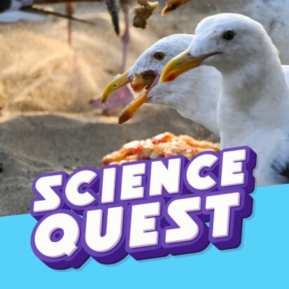 Podcast Logo