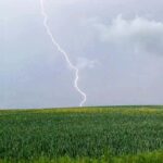 298 Thunderstorm over sonorous rural woodland (warning – sudden shock thunderclaps) podcast episode