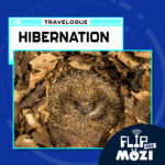 Travelpod: Hibernation episode logo