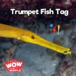 Trumpet Fish Tag episode logo