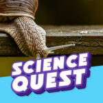 The Slime Factory: How Snails Engineer the Ultimate Sticky Goo! episode logo